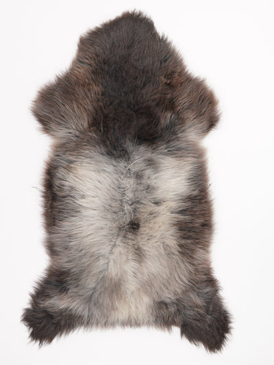 Flerfärgat fårskinn XXL