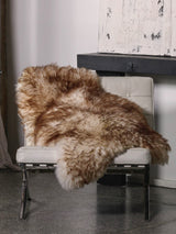 Mufflon