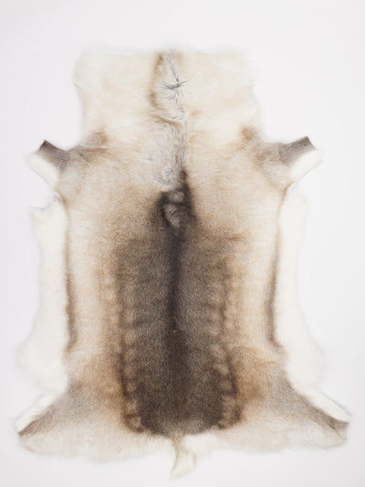 Renskinn XXL