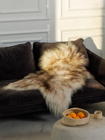 Isländskt mufflon fårskinn