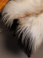 Isländskt fårskinn "Golsótt"