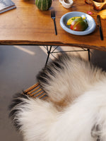 Isländskt fårskinn "Golsótt"