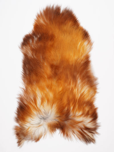 Isländskt fårskinn XXL