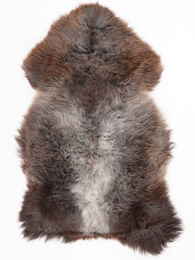 Flerfärgat fårskinn XL