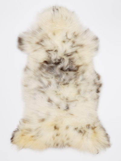 Įvairiaspalvis avikailis L