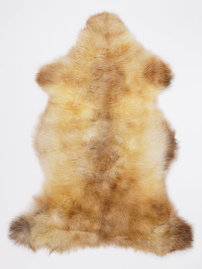 Flerfärgat fårskinn XL