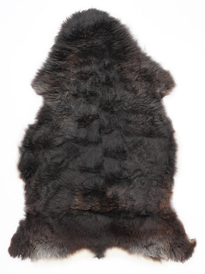 Įvairiaspalvis avikailis L