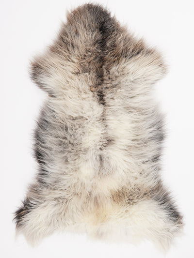 Flerfärgat fårskinn XL