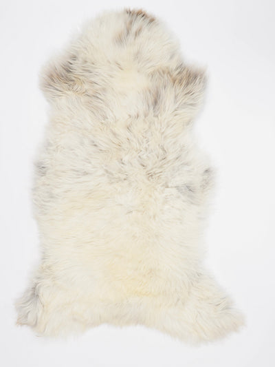 Įvairiaspalvis avikailis L