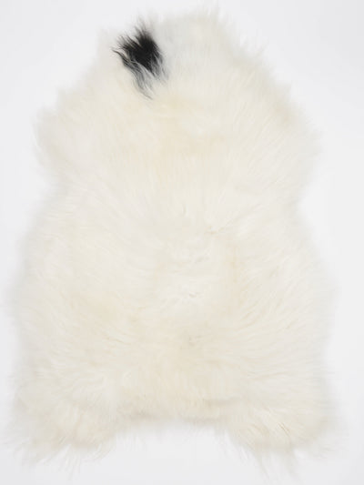 Islandiškas avikailis L