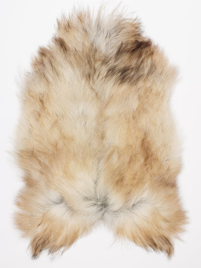 Isländskt fårskinn XL