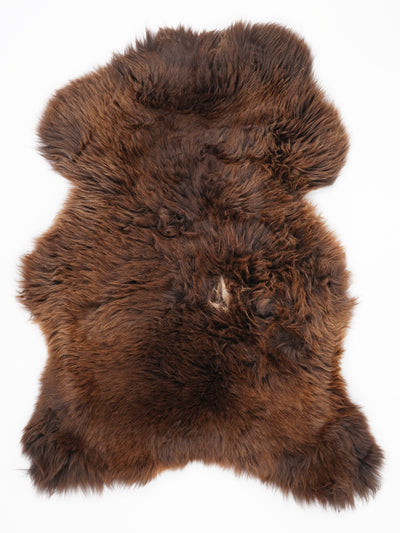 Įvairiaspalvis avikailis L