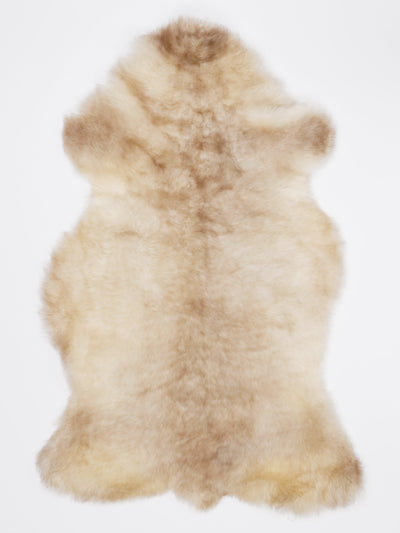 Įvairiaspalvis avikailis L