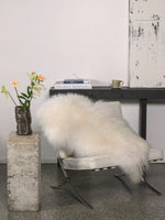 Vitt isländskt fårskinn