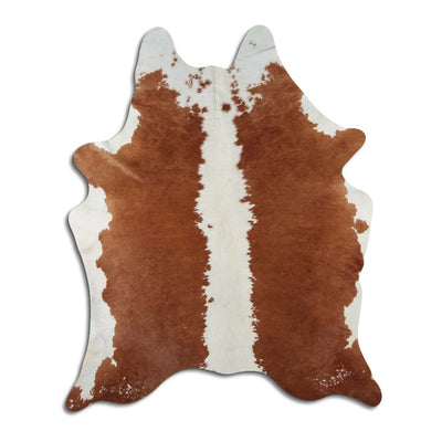 Brun kohud XL