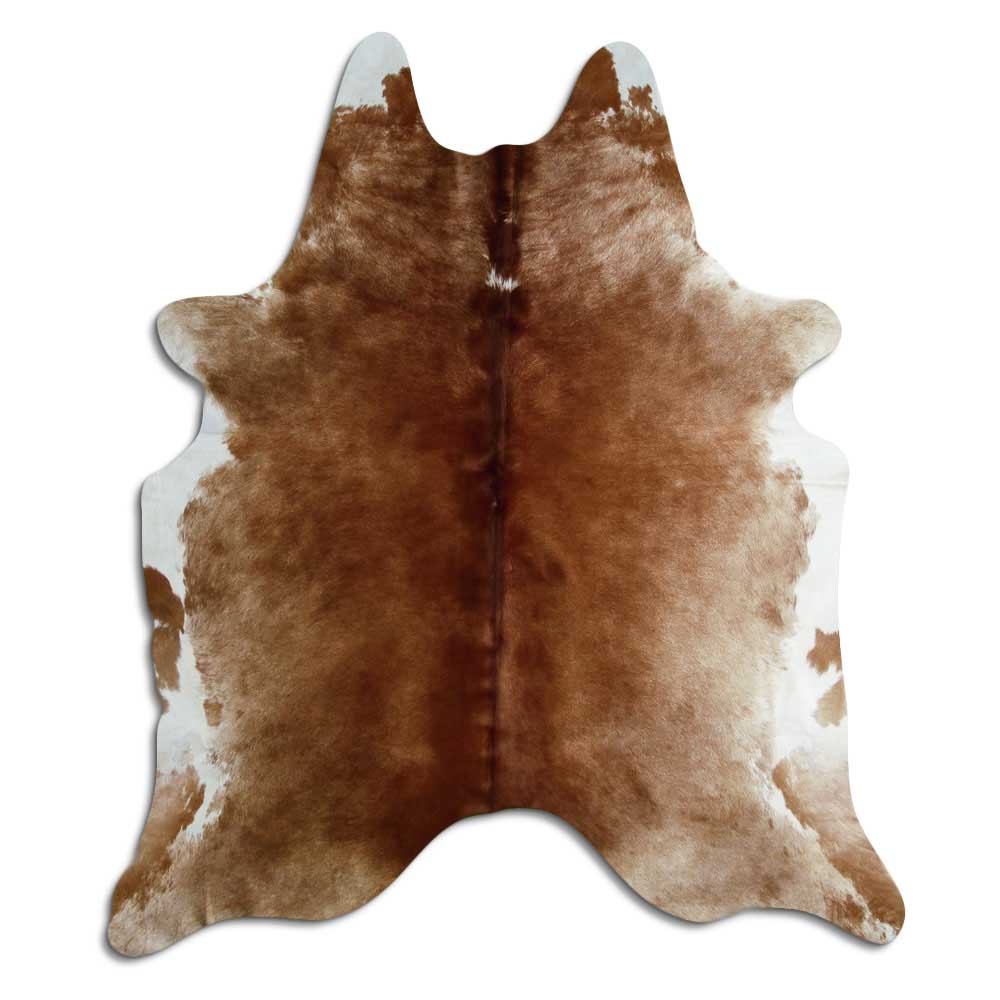Brunvit kohud XL