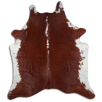 Brun kohud XL