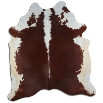 Brun kohud XL