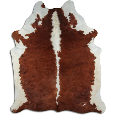 Brun kohud XL