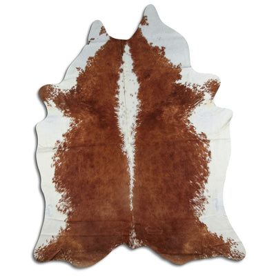 Brun kohud XXXL