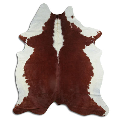 Brun kohud XL