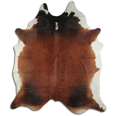 Brun kohud XXXL