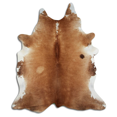 Brun kohud XXL