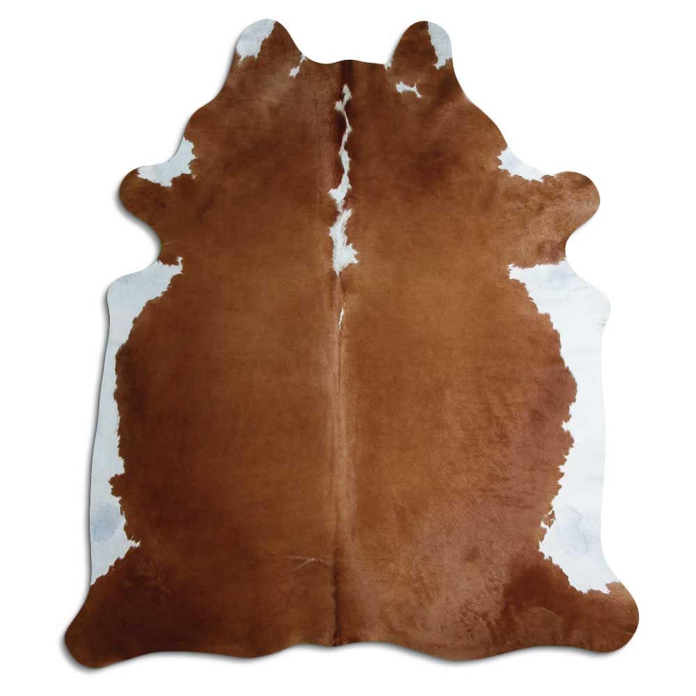 Brunvit kohud XL