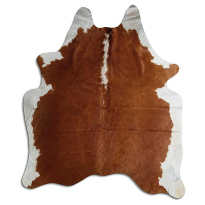 Brunvit kohud XL