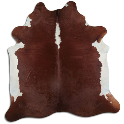 Brun kohud XL