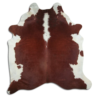 Brun kohud XL