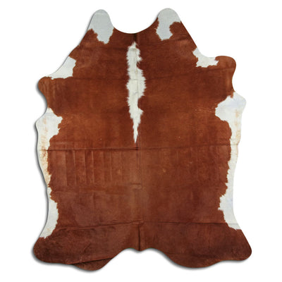 Brun kohud XL