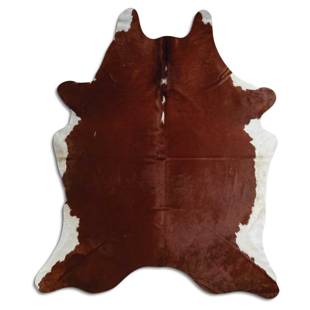 Brunvit kohud XL
