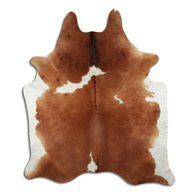 Brun kohud XL
