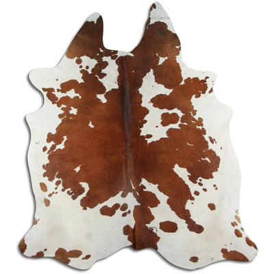 Brun kohud XL