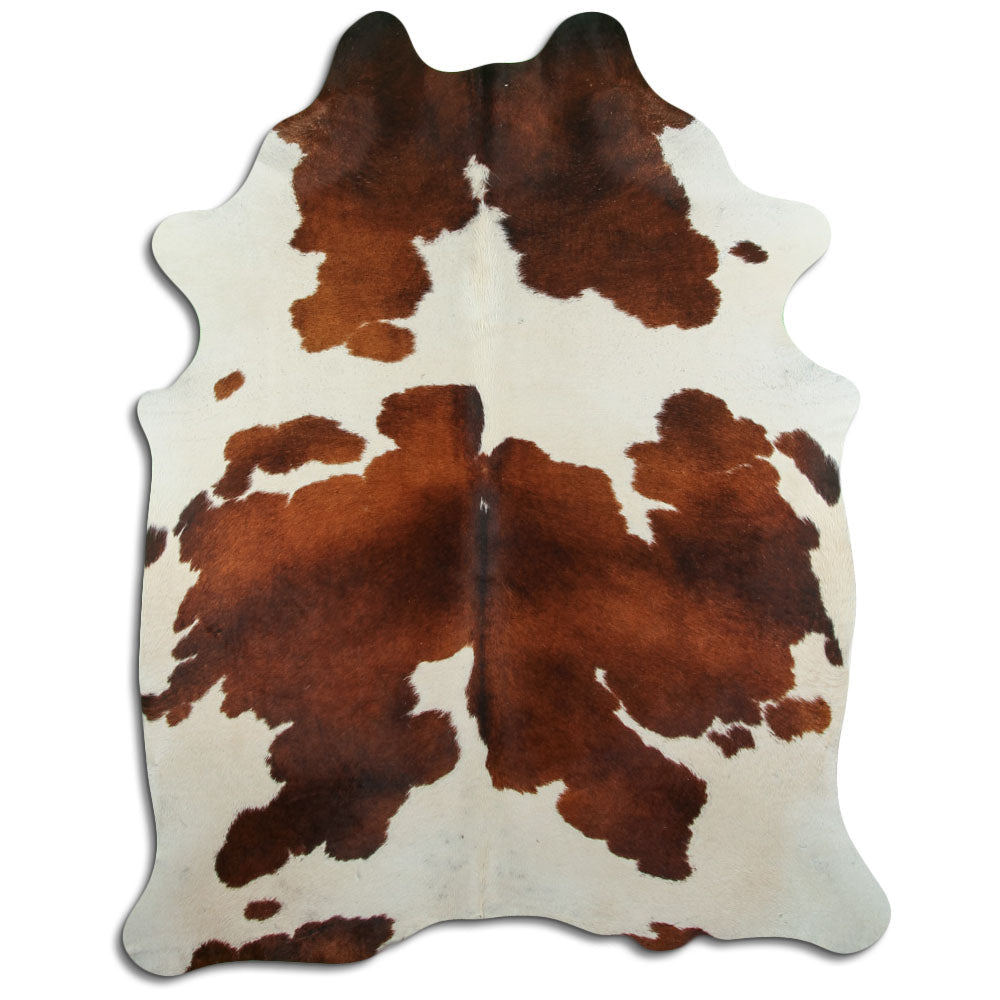 Brun kohud XL