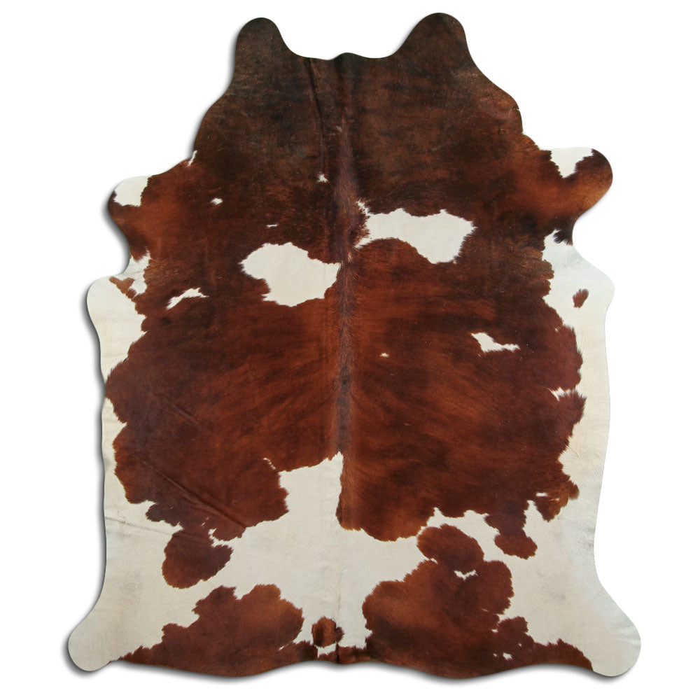 Brun kohud XL