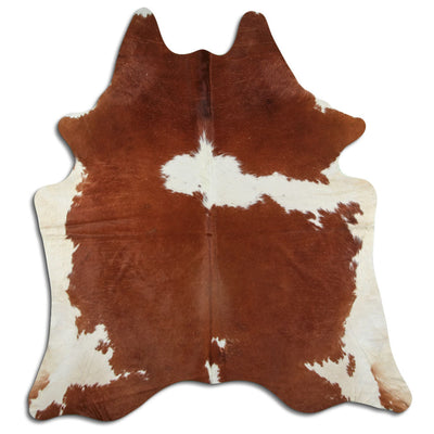 Brun kohud XL