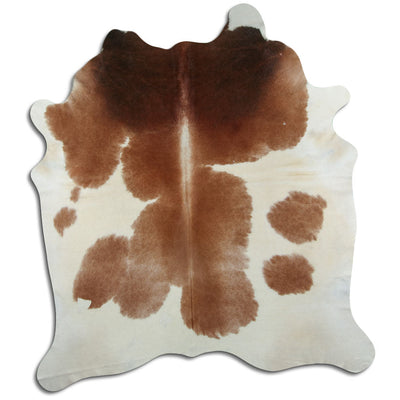 Brun kohud XL