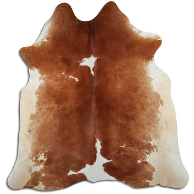 Brun kohud XL