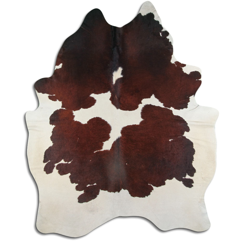 Brun kohud XL