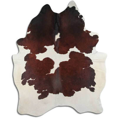 Brun kohud XL