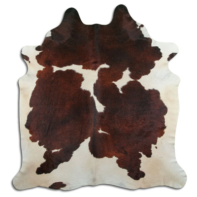Brun kohud XL