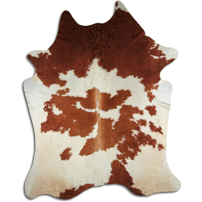 Brun kohud XXXL