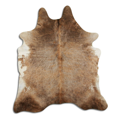 Champagefärgad kohud XXL