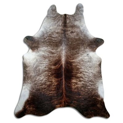 Exotisk kohud XXL