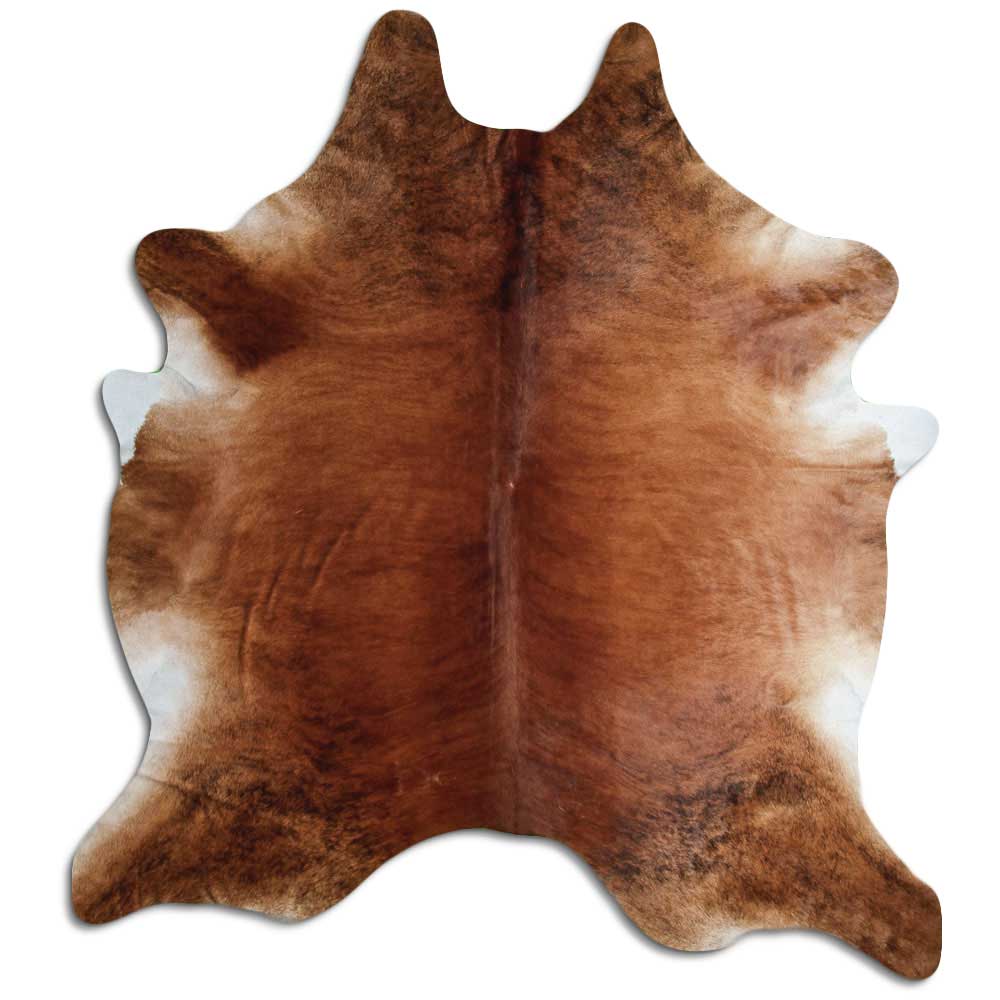 Exotisk kohud XXXL