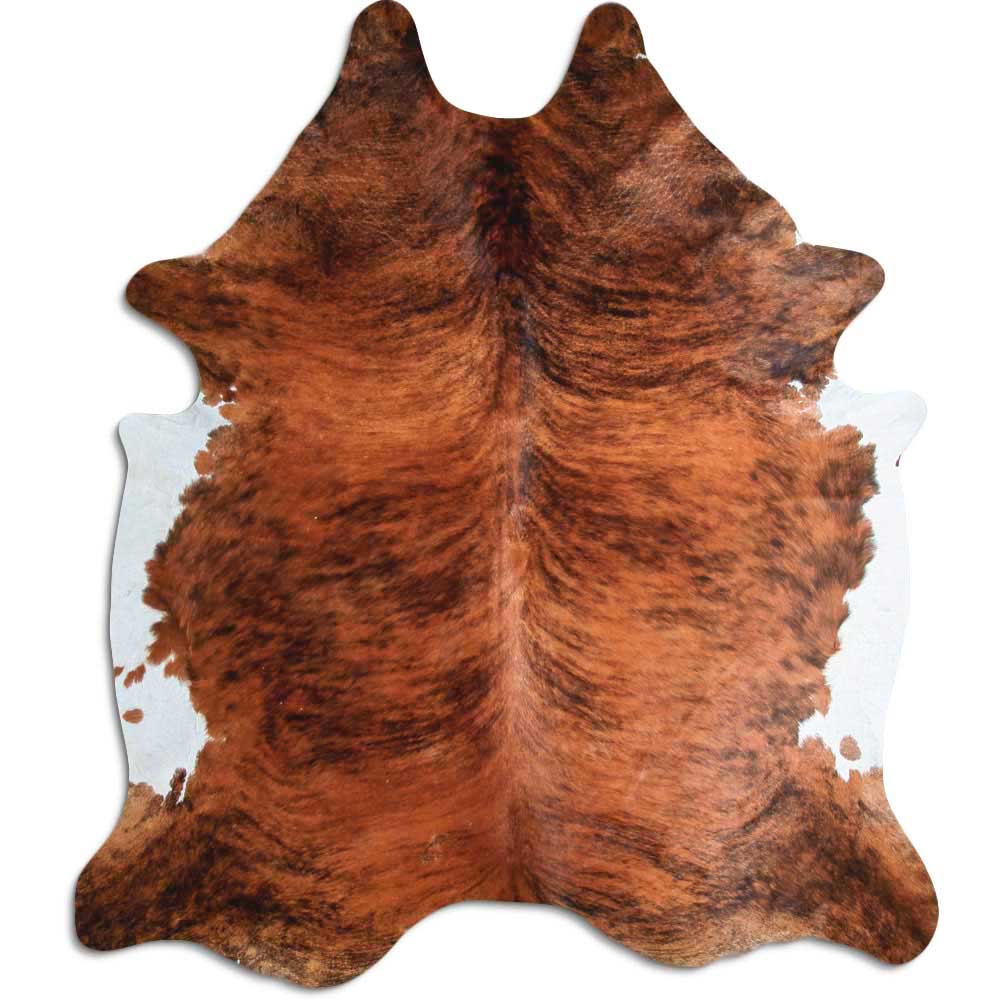 Exotisk kohud XXXL