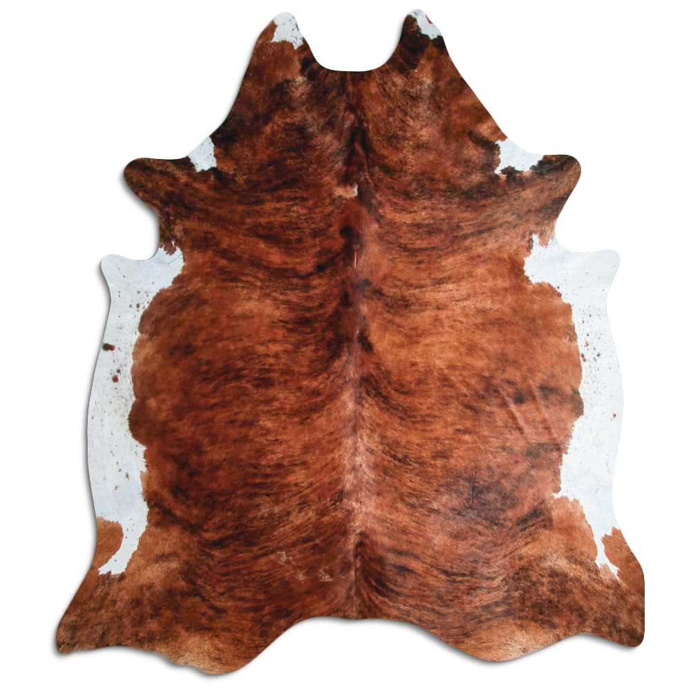 Exotisk kohud XXXL