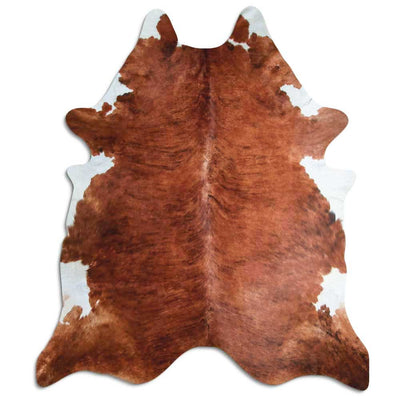 Exotisk kohud XXXL